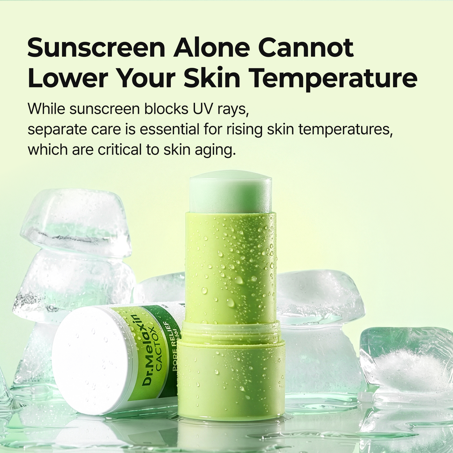 Pore Minimizing Balm Cactus Extract Skin Balm