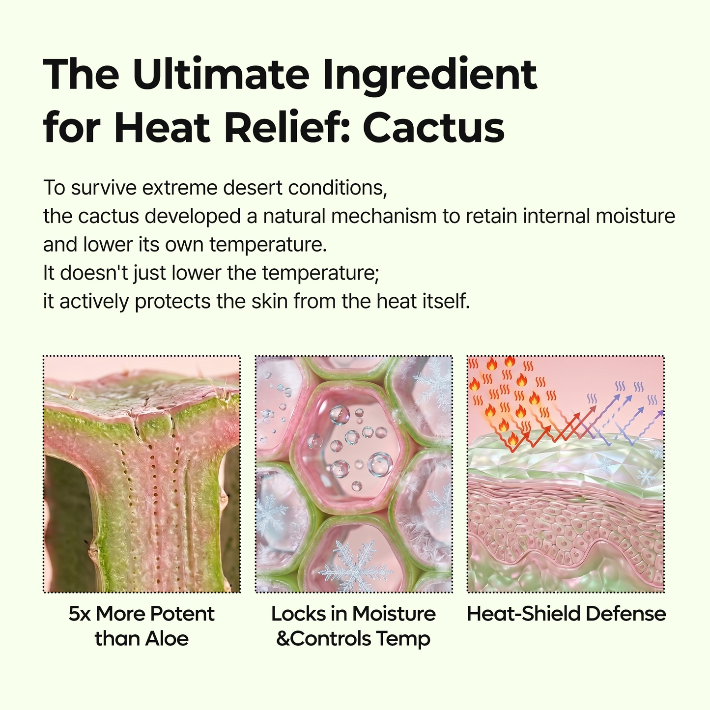 Pore Minimizing Balm Cactus Extract Skin Balm