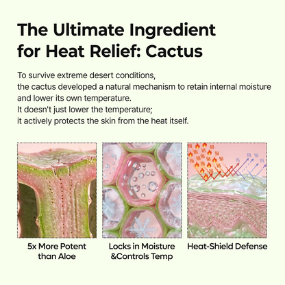 Pore Minimizing Balm Cactus Extract Skin Balm